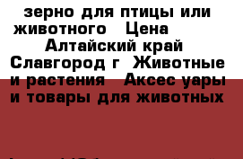 зерно для птицы или животного › Цена ­ 350 - Алтайский край, Славгород г. Животные и растения » Аксесcуары и товары для животных   